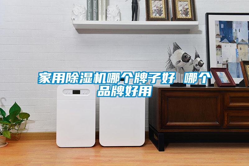 家用除濕機(jī)哪個牌子好 哪個品牌好用