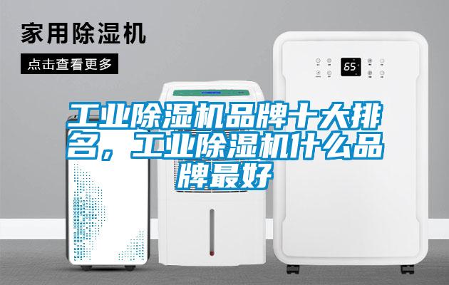 工業(yè)除濕機(jī)品牌十大排名，工業(yè)除濕機(jī)什么品牌最好