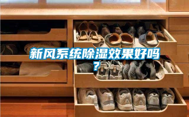 新風系統除濕效果好嗎？