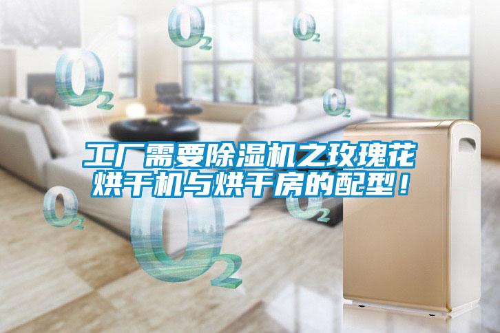 工廠(chǎng)需要除濕機(jī)之玫瑰花烘干機(jī)與烘干房的配型！