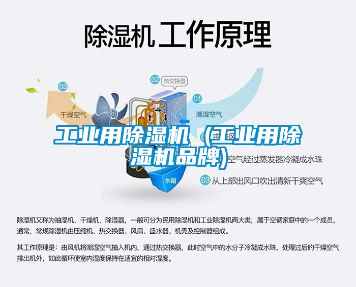 工業用除濕機 (工業用除濕機品牌)