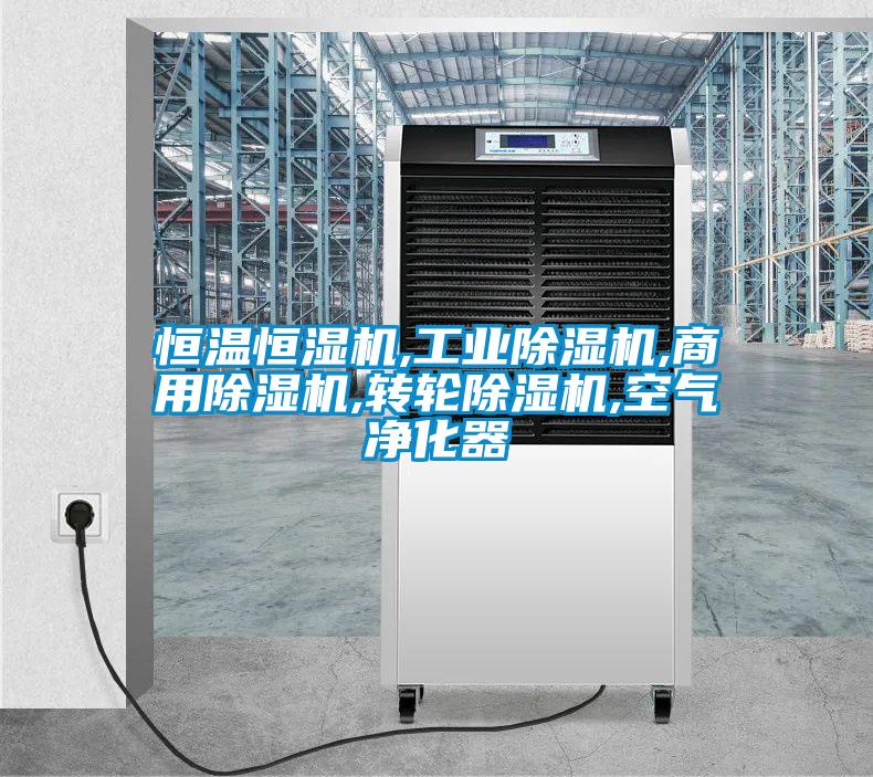 恒溫恒濕機,工業除濕機,商用除濕機,轉輪除濕機,空氣凈化器
