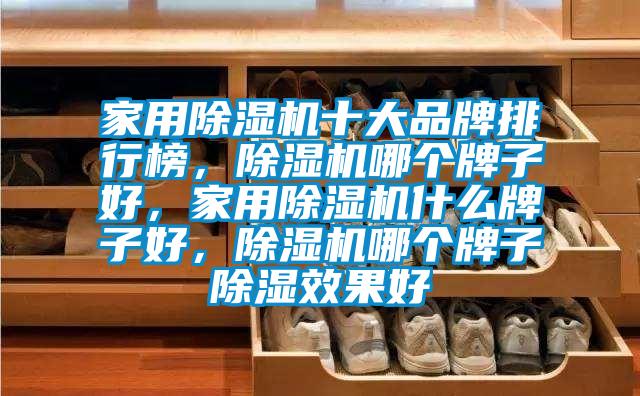 家用除濕機十大品牌排行榜，除濕機哪個牌子好，家用除濕機什么牌子好，除濕機哪個牌子除濕效果好