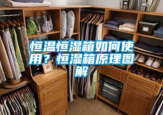 恒溫恒濕箱如何使用？恒濕箱原理圖解