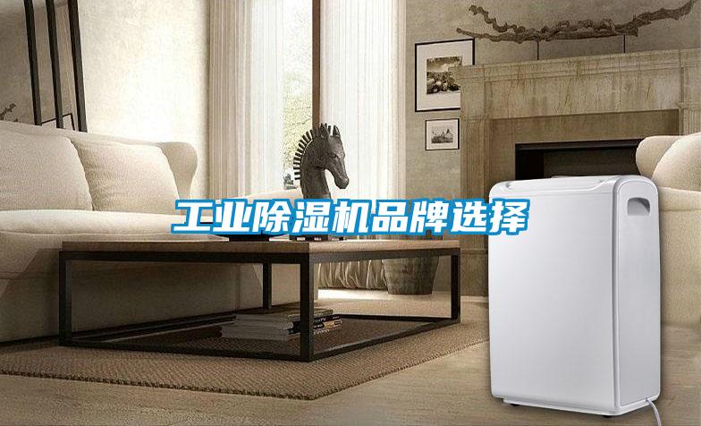 工業除濕機品牌選擇