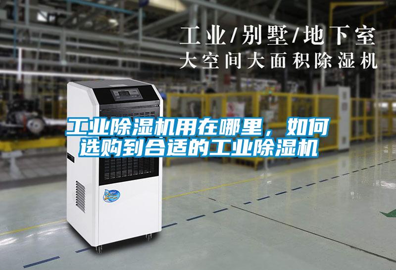 工業(yè)除濕機(jī)用在哪里，如何選購到合適的工業(yè)除濕機(jī)