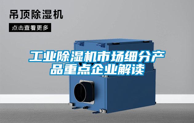 工業(yè)除濕機(jī)市場細(xì)分產(chǎn)品重點企業(yè)解讀