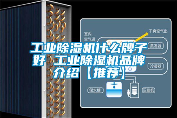 工業除濕機什么牌子好 工業除濕機品牌介紹【推薦】
