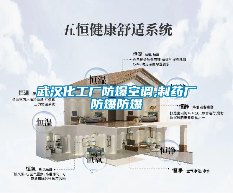 武漢化工廠防爆空調,制藥廠防爆防爆
