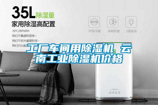 工廠車間用除濕機 云南工業除濕機價格