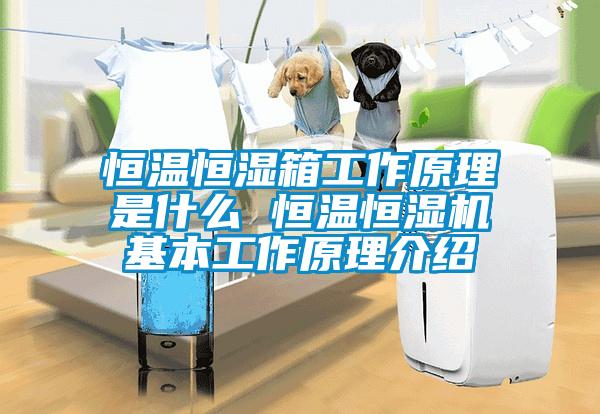 恒溫恒濕箱工作原理是什么 恒溫恒濕機基本工作原理介紹