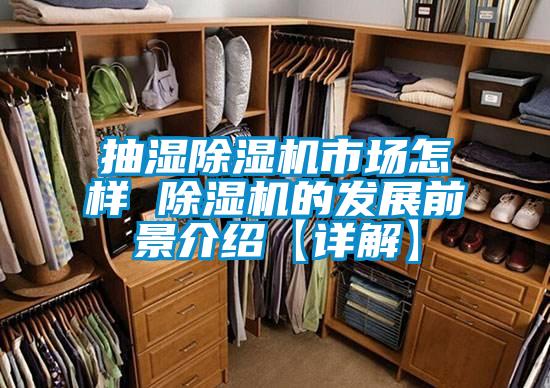 抽濕除濕機市場怎樣 除濕機的發展前景介紹【詳解】