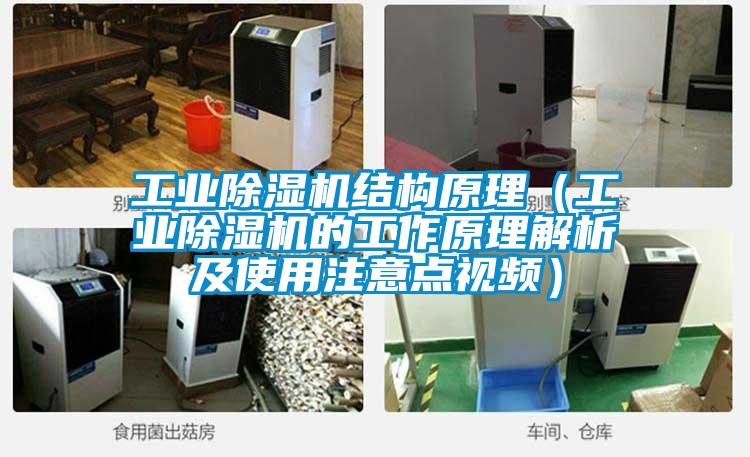 工業除濕機結構原理（工業除濕機的工作原理解析及使用注意點視頻）