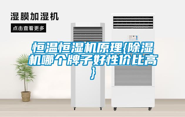 恒溫恒濕機(jī)原理{除濕機(jī)哪個(gè)牌子好性價(jià)比高}