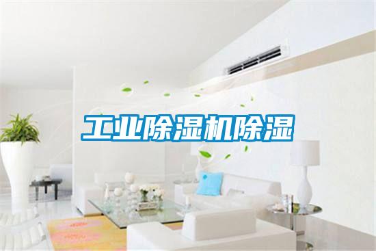 工業除濕機除濕