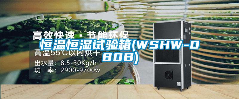 恒溫恒濕試驗箱(WSHW-080B)