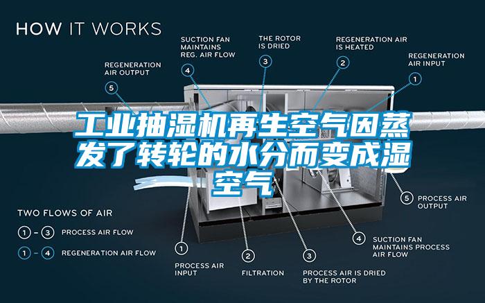 工業抽濕機再生空氣因蒸發了轉輪的水分而變成濕空氣