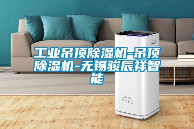 工業吊頂除濕機-吊頂除濕機-無錫駿辰祥智能