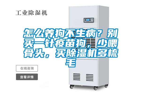 怎么養(yǎng)狗不生??？別買(mǎi)一針疫苗狗，少喂骨頭，買(mǎi)除濕機(jī)多梳毛