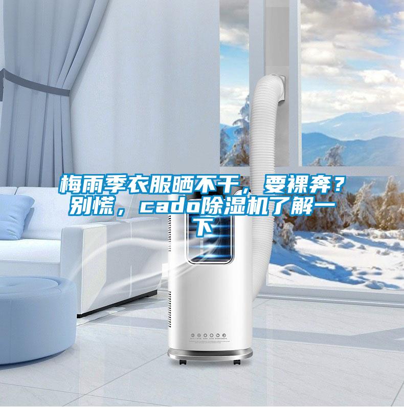 梅雨季衣服曬不干，要裸奔？別慌，cado除濕機了解一下