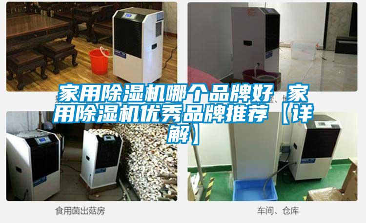 家用除濕機哪個品牌好 家用除濕機優秀品牌推薦【詳解】