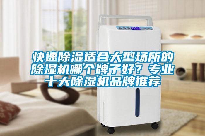 快速除濕適合大型場所的除濕機哪個牌子好？專業十大除濕機品牌推薦