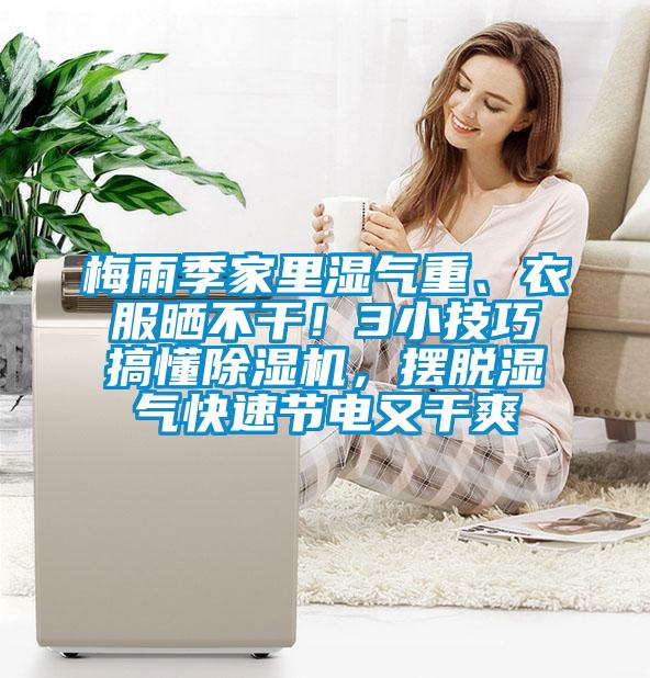 梅雨季家里濕氣重、衣服曬不干！3小技巧搞懂除濕機，擺脫濕氣快速節電又干爽
