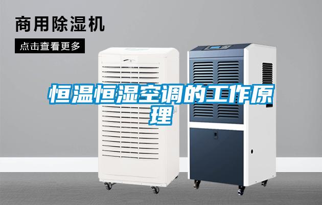 恒溫恒濕空調的工作原理