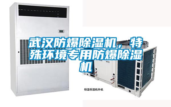 武漢防爆除濕機，特殊環境專用防爆除濕機