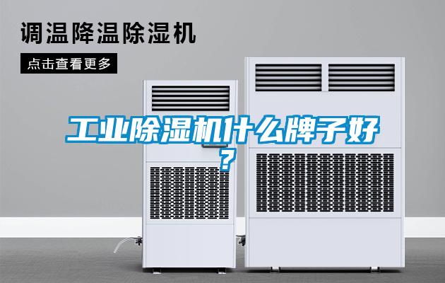 工業除濕機什么牌子好？