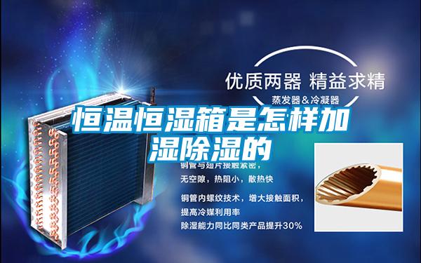 恒溫恒濕箱是怎樣加濕除濕的