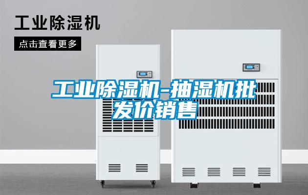 工業除濕機-抽濕機批發價銷售