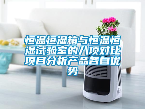 恒溫恒濕箱與恒溫恒濕試驗室的八項對比項目分析產品各自優勢