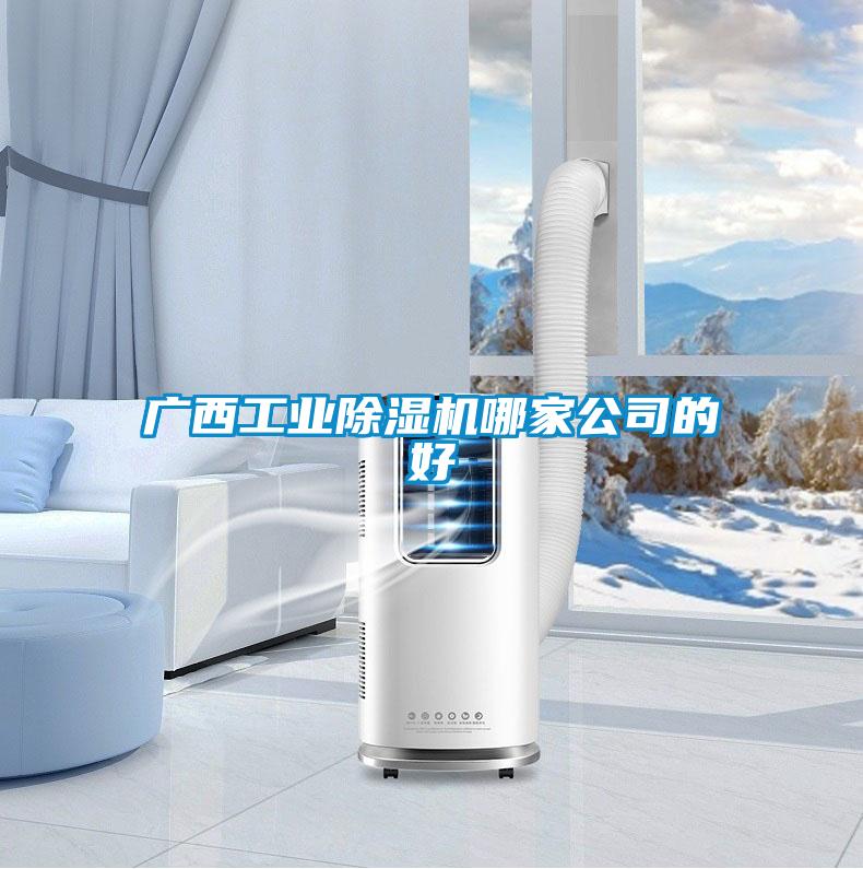 廣西工業(yè)除濕機哪家公司的好