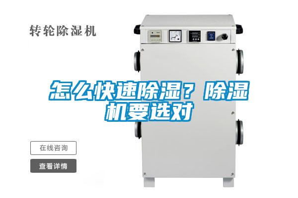 怎么快速除濕？除濕機要選對