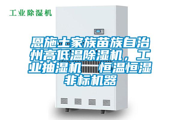 恩施土家族苗族自治州高低溫除濕機，工業抽濕機  恒溫恒濕非標機器