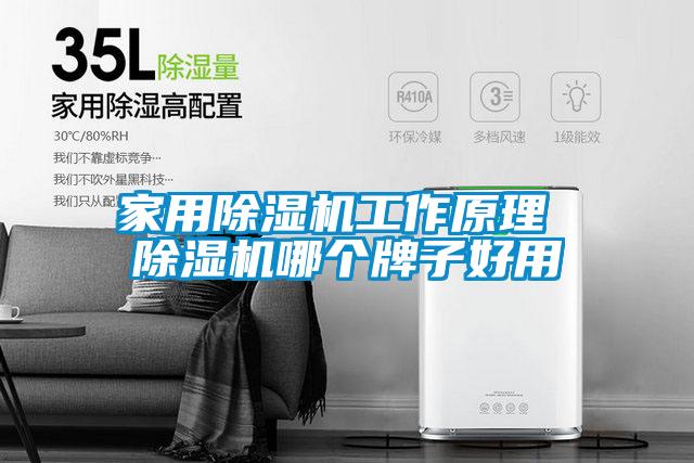 家用除濕機(jī)工作原理 除濕機(jī)哪個牌子好用
