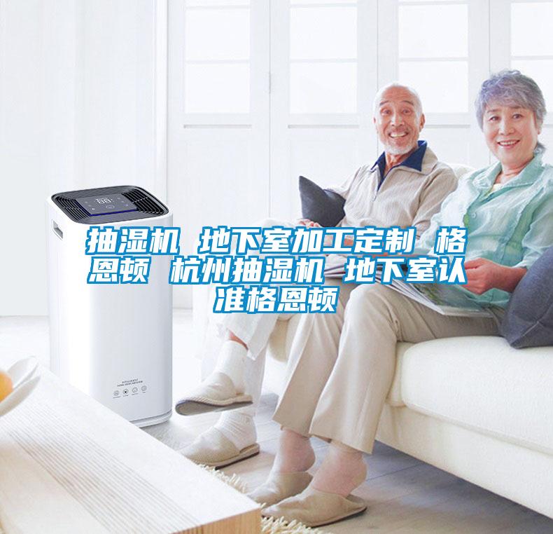 抽濕機 地下室加工定制 格恩頓 杭州抽濕機 地下室認準格恩頓