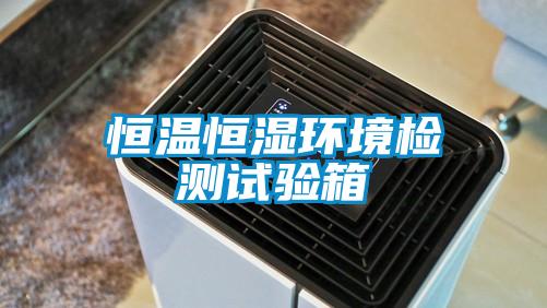 恒溫恒濕環境檢測試驗箱
