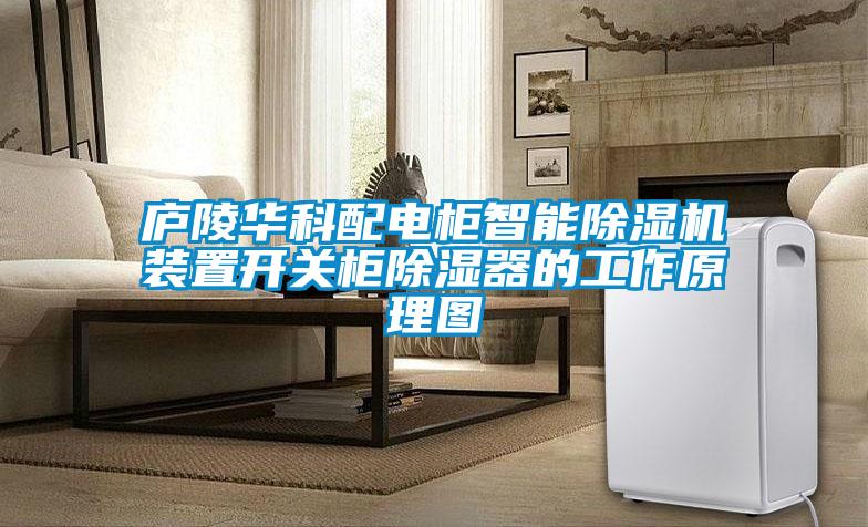 廬陵華科配電柜智能除濕機(jī)裝置開(kāi)關(guān)柜除濕器的工作原理圖