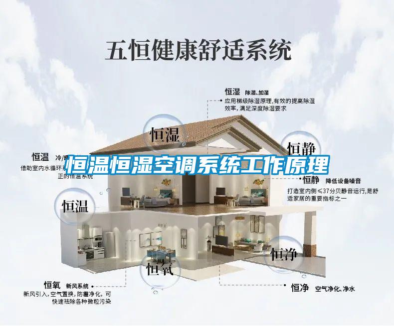 恒溫恒濕空調系統工作原理