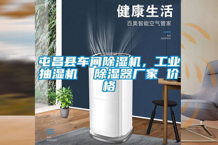 屯昌縣車間除濕機，工業抽濕機  除濕器廠家 價格