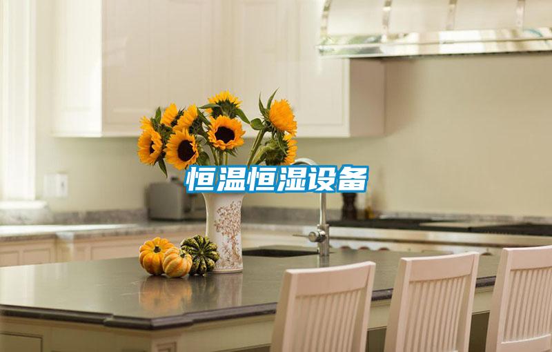 恒溫恒濕設(shè)備