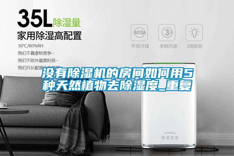 沒有除濕機的房間如何用5種天然植物去除濕度_重復
