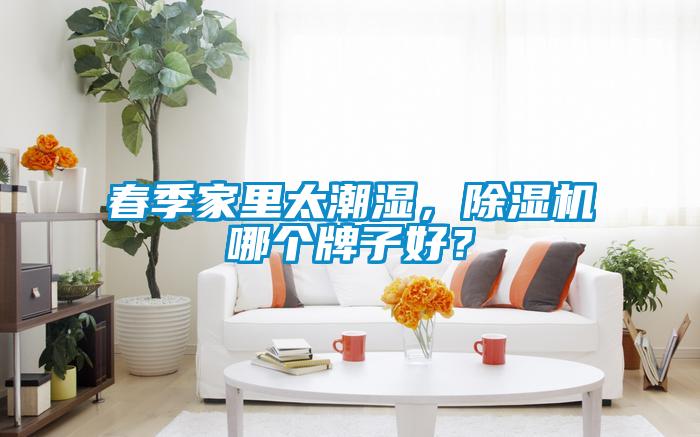 春季家里太潮濕，除濕機哪個牌子好？