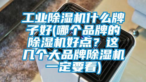 工業(yè)除濕機什么牌子好(哪個品牌的除濕機好點？這幾個大品牌除濕機一定要看)