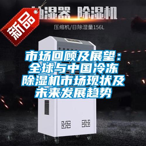 市場回顧及展望：全球與中國冷凍除濕機市場現狀及未來發展趨勢