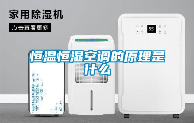 恒溫恒濕空調的原理是什么