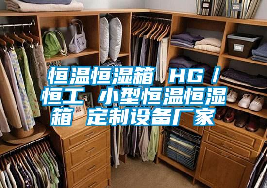 恒溫恒濕箱 HG／恒工 小型恒溫恒濕箱 定制設備廠家