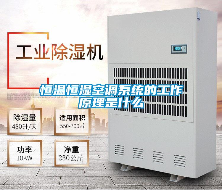 恒溫恒濕空調系統的工作原理是什么